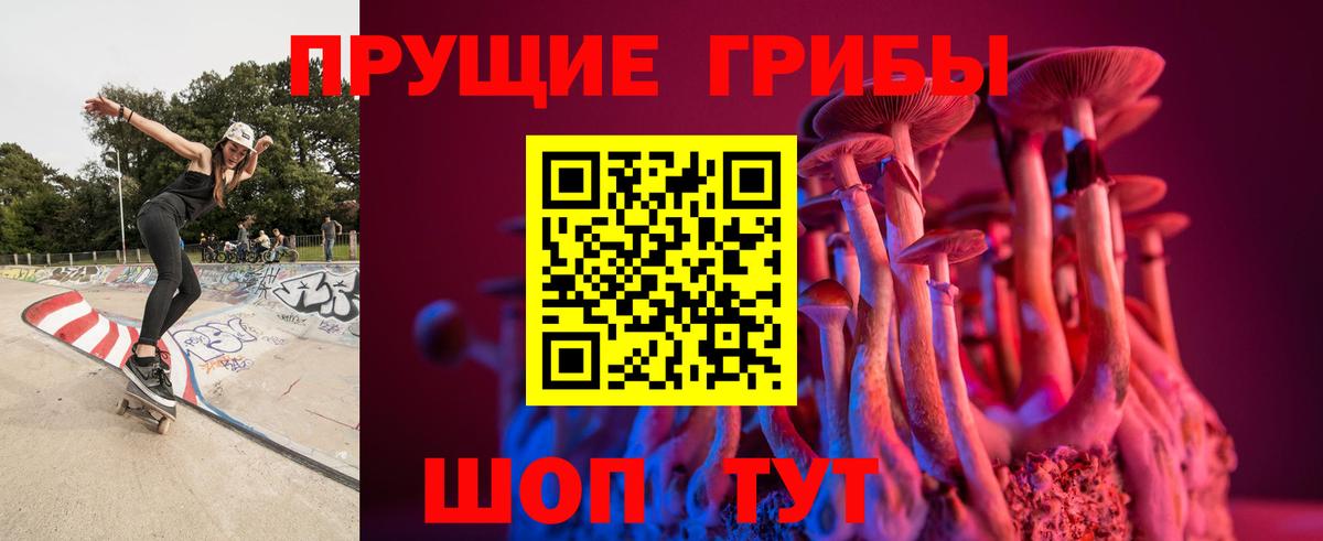 Галлюциногенные грибы мухоморы Красногорск
